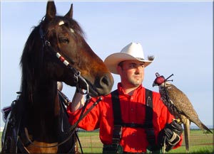 Dan Paradis, Master falconer.